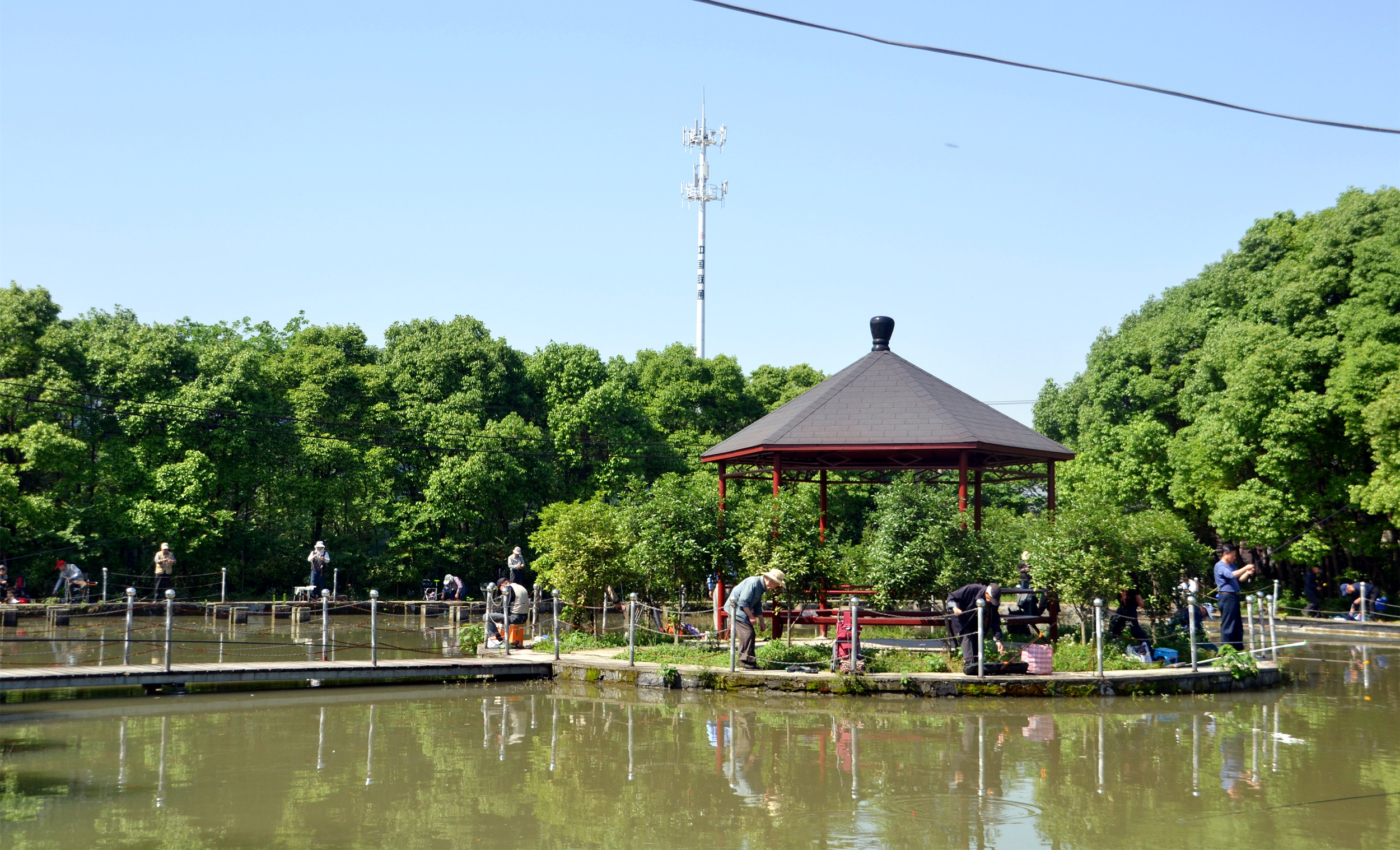 DSC_0234.JPG