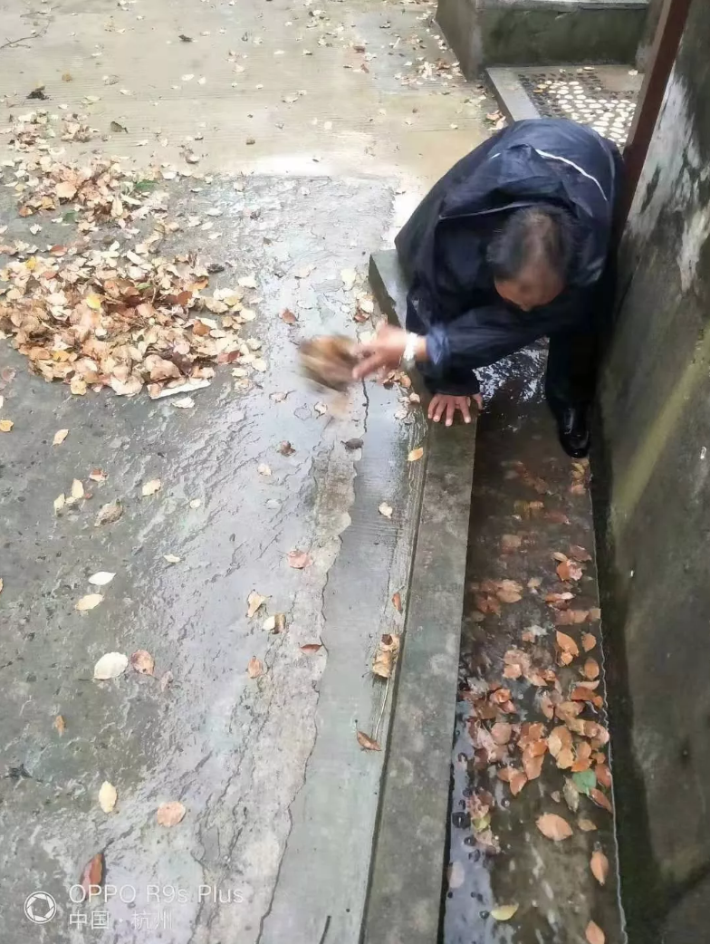 QQ截图20220117083941.png